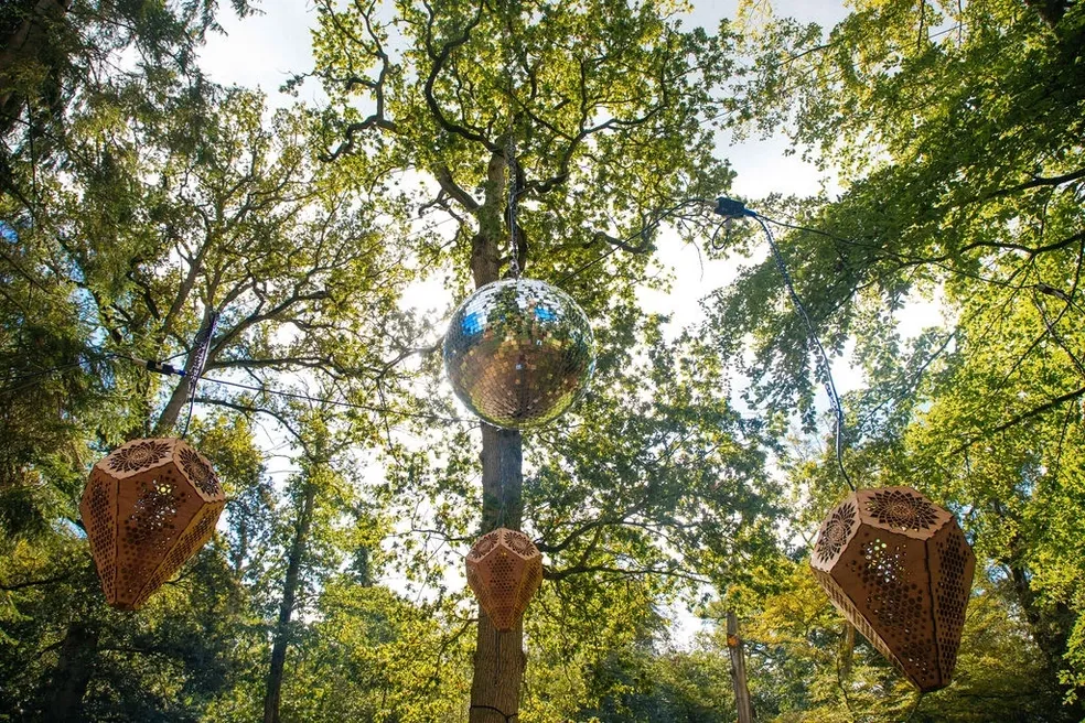 Mirror ball hanging in the tree canopy