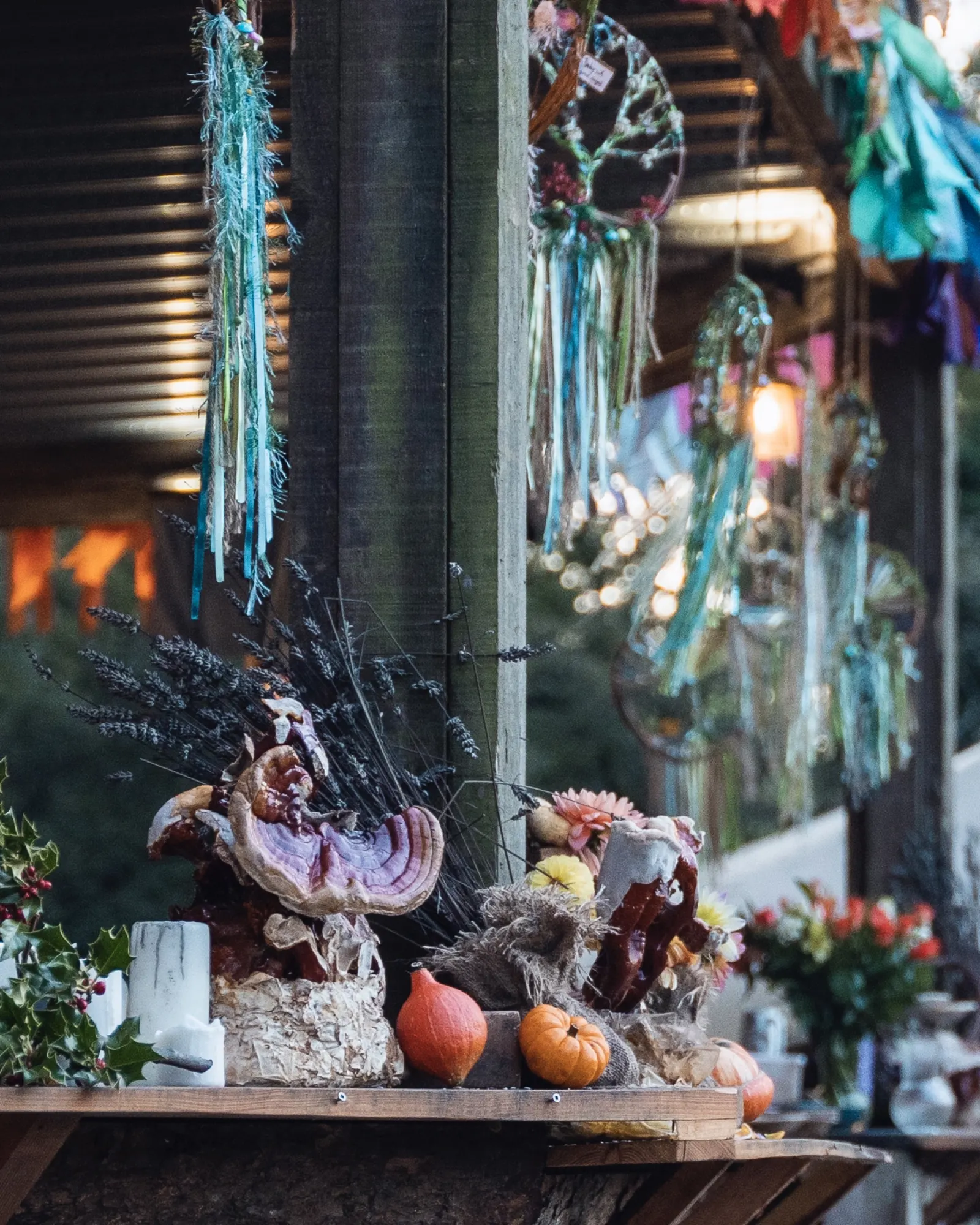 Mushroom-laden altar in the woods