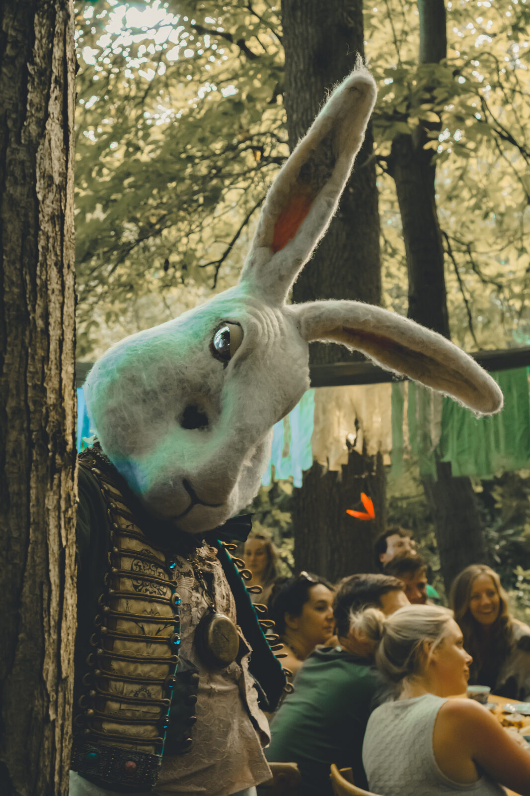 White Rabbit character peering from behind a tree
